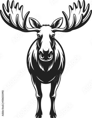 Moose, majestic wildlife with antlers, symbol of nature, strong and resilient deer, representation of the wilderness, powerful creature in serene habitat