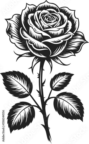Rose, iconic flower, vintage engraved illustration of a delicate rose with leaf details and intricate petal design, perfect for decorative art