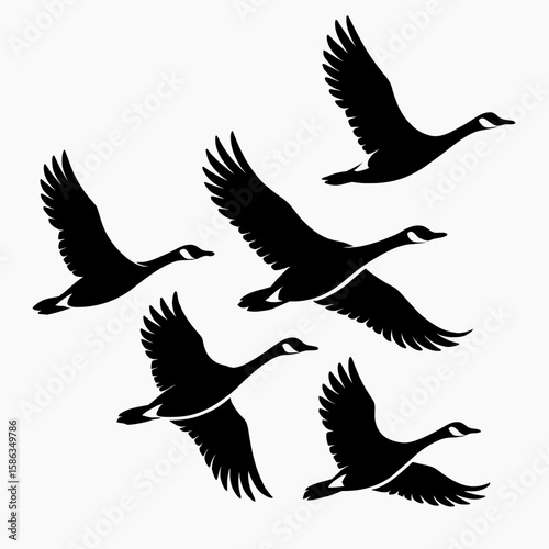 Flying Geese Silhouette Design