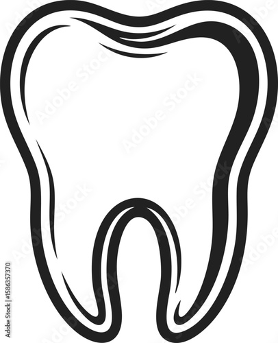 Tooth, molar, dental illustration, dental care, oral hygiene, tooth anatomy, tooth structure, engraved art, vintage style, decorative dental design