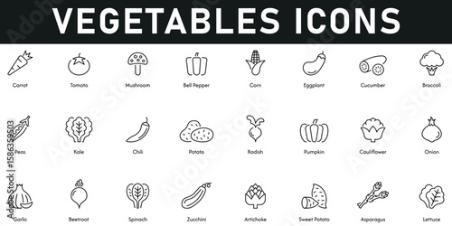Vegetables Icons vector illustration with thin line editable stroke contains corn, tomato, carrot, peas, chili, potato, radish, pumpkin, onion, garlic, kale, cauliflower, cucumber, mushroom, eggplant.
