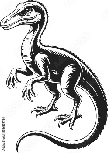 Velociraptor, Jurassic predator, agile hunter, ancient reptile, dramatic stance in vintage engraved style