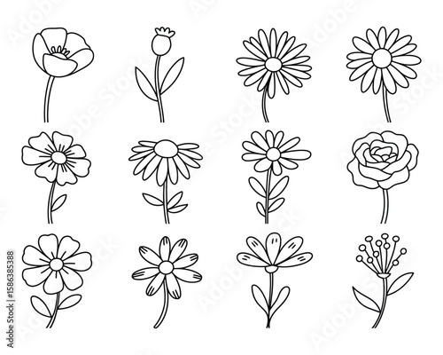 flower illustration line art black white stylized modern