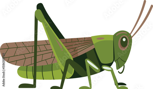 Cartoon Grasshopper Vector – Minimalist Green Insect Illustration with Red Eye
