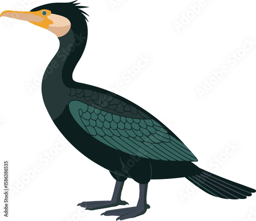 Double-crested Cormorant Vector – Minimalist Side Profile Bird Illustration