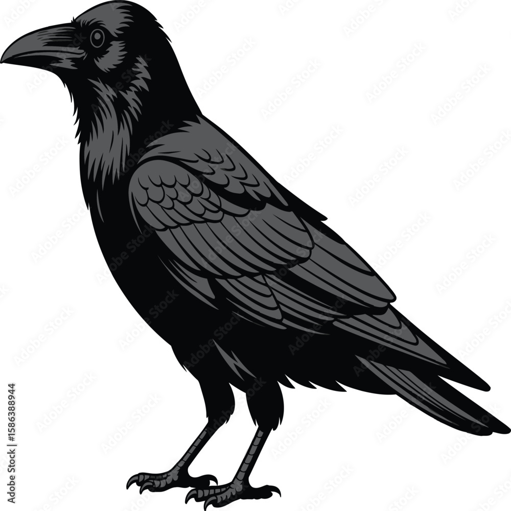 Fototapeta premium Raven Silhouette Vector – Minimalist Left-Facing Bird Illustration in Black & White