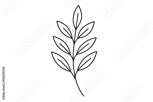 Minimalist Botanical Leaf Line Art Illustration for Natural Decor, Elegant Plant Branch Outline, Modern Nature-Inspired Vector, Simple Foliage Drawing for Eco Design, Transparent Background