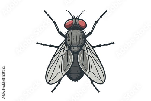 Fly vector illustration. Housefly insect icon for pest control. Cartoon bug graphic isolated. Nature entomology mascot character design. Zoology wildlife clipart art concept.