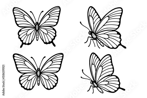 Elegant butterfly line art set. Collection of hand-drawn monarch butterflies in various poses. Black and white sketch for logo, tattoo, or coloring book design element.