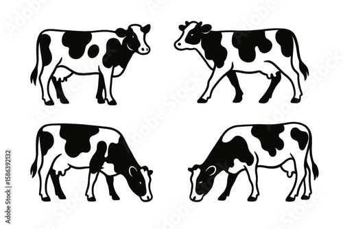 Set of standing, walking, and grazing cows. Farm animal livestock vector illustration. Black and white dairy cattle icon collection for agriculture, milk, or beef logo design.