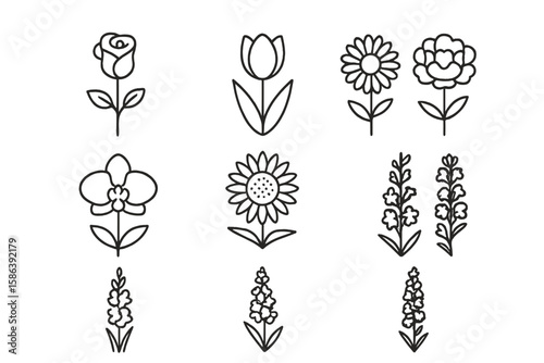 Flower line icon set. Minimalist floral collection. Simple outline symbols of rose, tulip, daisy, orchid, sunflower, peony. Botanical vector illustration for graphic design.