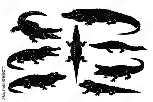 Crocodile, alligator vector illustration set. Black silhouettes collection of different species like caiman or gavial. Wildlife, nature, safari, zoo animal character design.