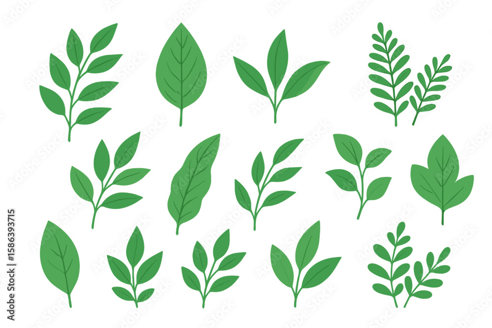 Versatile Green Leaf Vector Set for Nature-Themed Designs, Botanical Patterns, Eco Decor, Organic Branding, and Natural Backgrounds on Transparent Isolated Background Versatile Green Leaf Vector Set for Nature-Themed Designs, Botanical Patterns, Eco Decor, Organic Branding, and Natural Backgrounds on Transparent Isolated Background