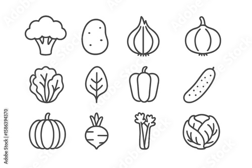 Vegetables line icon set. Healthy food pictogram collection. Vector outline symbols of broccoli, potato, onion, pepper, pumpkin for cooking, diet, and grocery.