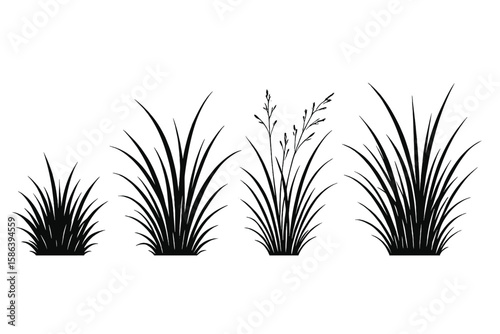 Grass silhouette vector collection. Set of black isolated grass tufts on white background. Botanical plant design elements for lawn, meadow, field, or garden themes. Eco.