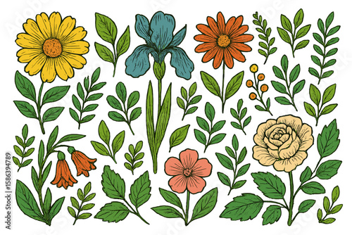 Vintage floral elements set. Hand drawn collection of botanical flowers and leaves. Retro decorative doodle illustrations of rose, iris, daisy. Engraved flower design pack.