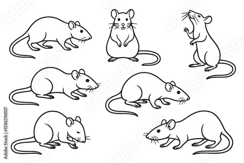 Detailed Vector Illustration of Rats in Multiple Poses for Pest Control, Animal Behavior Research, Animation Reference, and Educational Design on Transparent Background