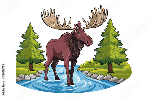 Depiction of moose with bold antlers, Moose buck or elk full body vector illustration, Bull moose standing in water (Alces alces)