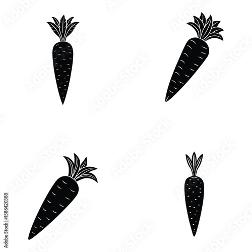 Fresh Carrots Simple Black and White Vegetable Illustrations