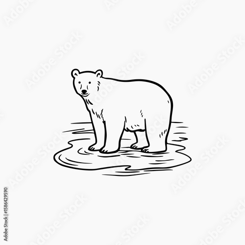 bear retro style design bear lover graphic illustration art