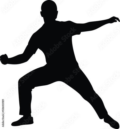 Silhouette of a man in a dynamic fencing stance.