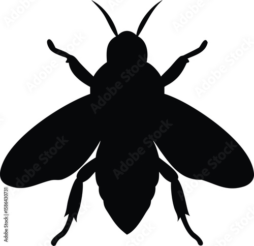 Black silhouette of a bee, insect, wings, legs, detailed, vector.