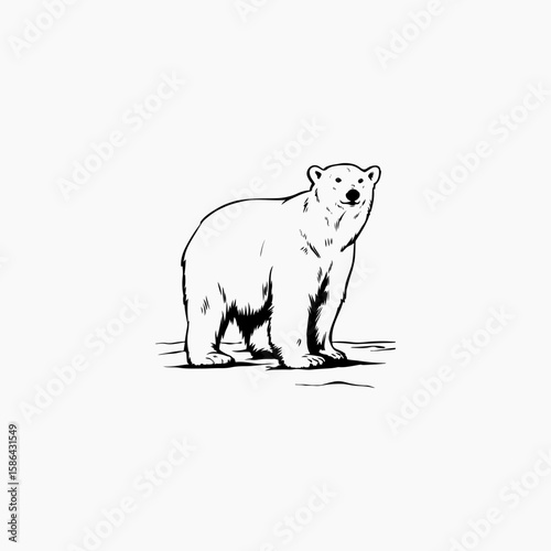 animal themes bear symbol animal bear black graphic