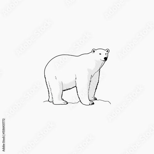wild animal black bear icon symbol graphic