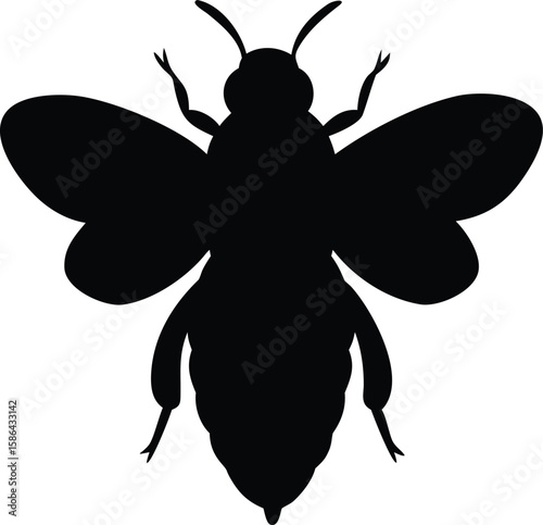 A black silhouette of a bee with wings spread, viewed from above, isolated on a white background.
