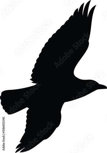 Silhouette of a black bird in flight, wings spread, against a white background.