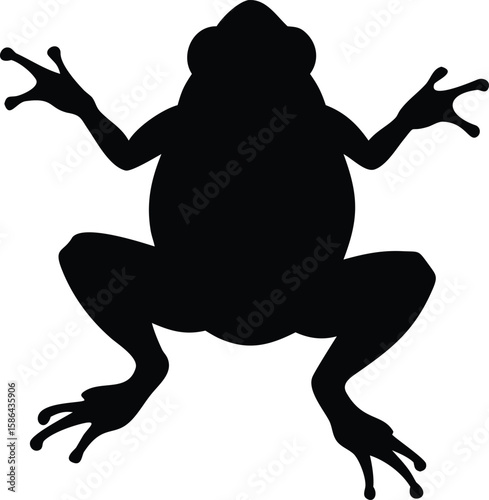Silhouette of a frog, showing its body and limbs in a static pose.