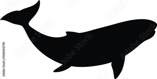 Silhouette of a whale swimming, showing its flippers, dorsal fin, and tail, against a white background.