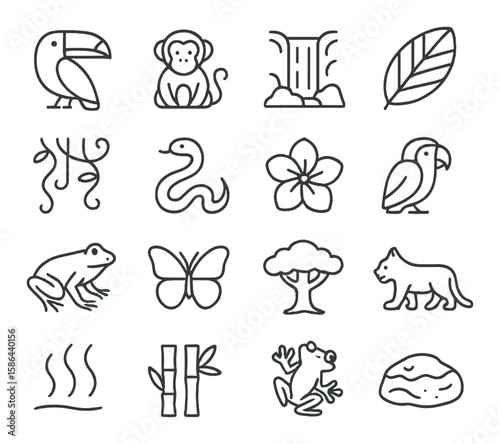 Rainforest icon collection. simple line art of animals, plants, waterfall, butterfly, bamboo, leaf,