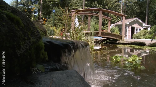Decorated backyard garden with pond