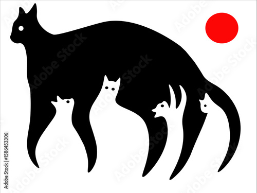 gatto nero gatto bianco
