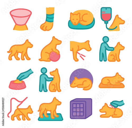 Animal rehab icon collection. simple animal recovery, treatment, therapy, care, healing
