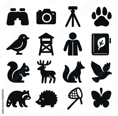 Wildlife watching icon collection. simple silhouette icons: camera, binoculars, animal, tripod, bird, butterfly, fox, deer, squirrel