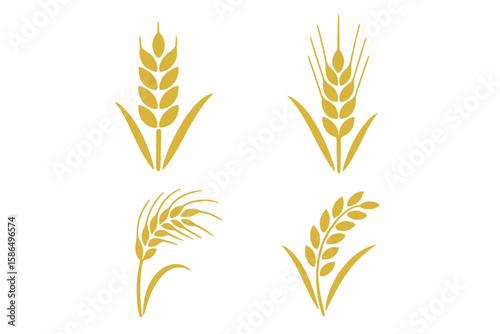 Wheat Rye Rice Ears Vector Icons Set – Organic Cereal Grain Symbols for Agriculture, Harvest, Farm Food Packaging, Eco Farming, Natural Product, Countryside Design Elements