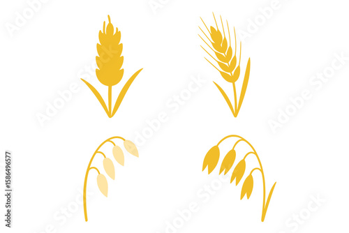 Set of Wheat, Rye, Oats, Barley, and Rice Ears Vector Illustrations. Organic Cereal Grains Icons. Agriculture Harvest Elements. Natural Food Design. Editable Transparent PNG Clipart