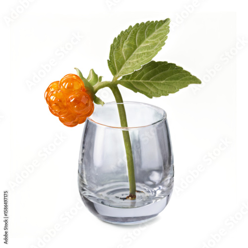 Cloudberry PNG with transparent background and cut-out, perfect for wild berry illustrations, healthy food branding, and nature graphics.
