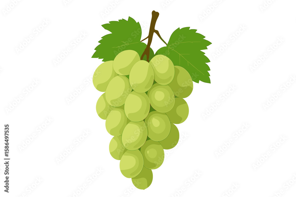 Obraz premium Realistic 3D Vector Illustration of Fresh Green Grape Bunch with Leaves on Transparent Background for Food, Fruit, Vineyard, and Healthy Eating Concepts