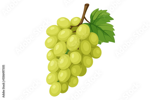 Realistic 3D Vector Illustration of Fresh White Grape Bunch with Leaf and Stem, Isolated on Transparent Background, Healthy Fruit, Vineyard Harvest, Organic Food Concept