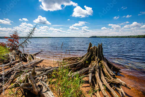 Rainbow flowage in northern Wisconsin in the summer