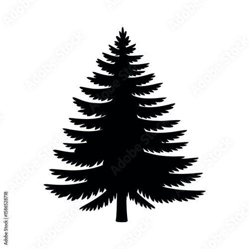 Black pine tree silhouette evergreen coniferous