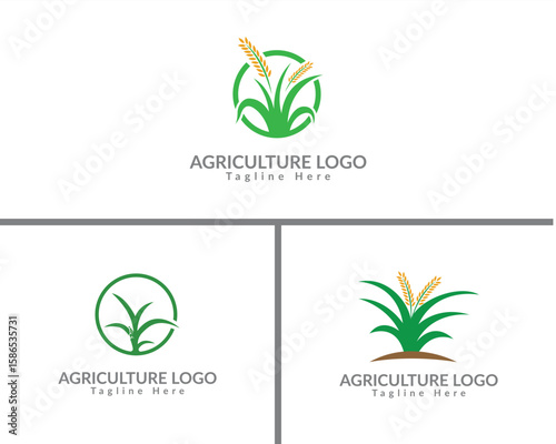 Modern agriculture logo featuring green wheat stalks and golden grain heads in circular and grounded designs