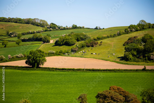 Irish Countryside landscape