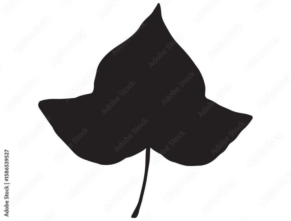 Fototapeta premium IVY LEAF SILHOUETTE