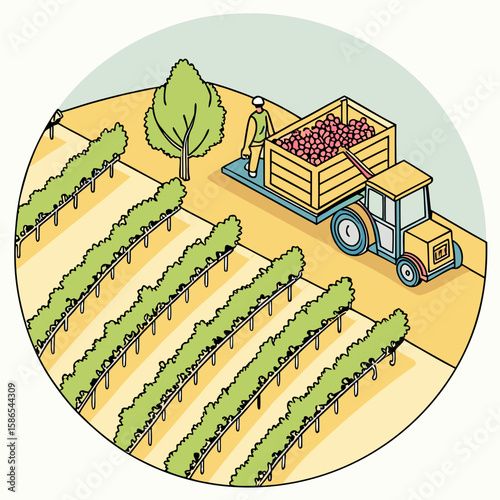 Grape harvester and bins among vineyard rows from above in modern flat illustration style