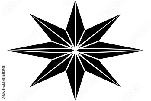 Elegant black and white star and flower designs for festive Christmas and holiday decorations, with options for shiny gold, silver, and red accents