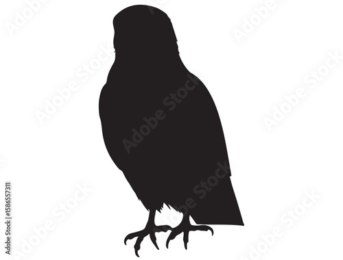 KESTREL BIRD SILHOUETTE
